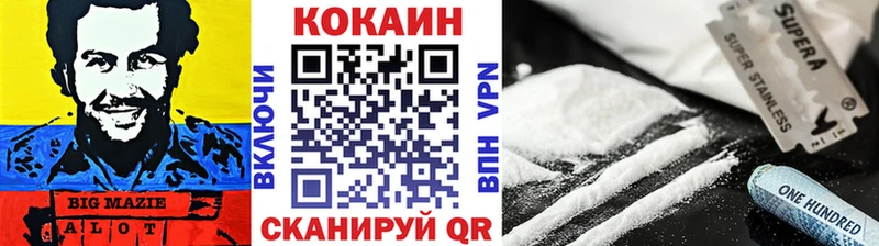 дарнет шоп  blacksprut маркетплейс  КОКАИН FishScale  Соль-Илецк 