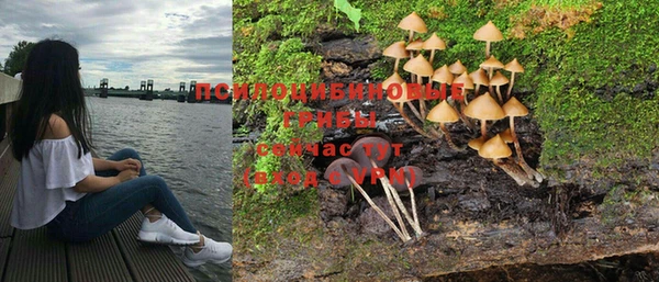 мяу мяу мука Баксан