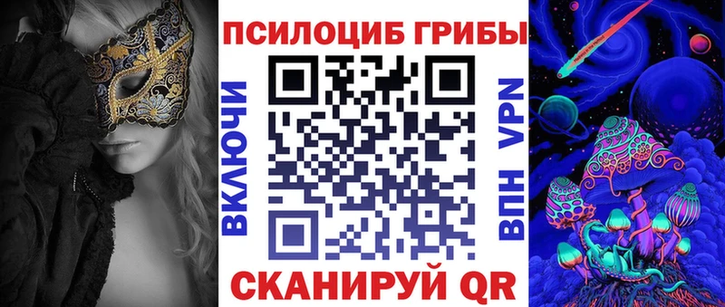 купить наркотики сайты  Соль-Илецк  Псилоцибиновые грибы GOLDEN TEACHER 