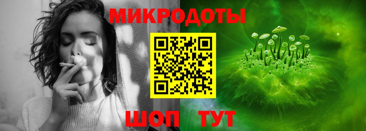 Псилоцибиновые грибы Psilocybe Соль-Илецк